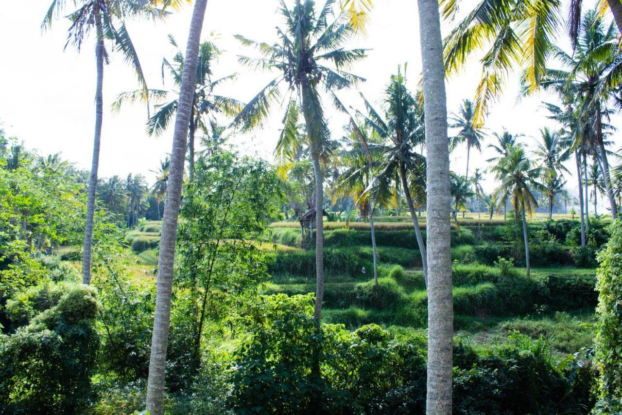Alam Grigis Ubud Εξωτερικό φωτογραφία