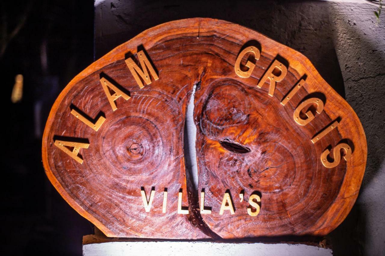 Alam Grigis Ubud Εξωτερικό φωτογραφία